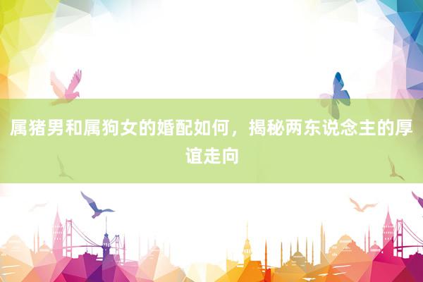 属猪男和属狗女的婚配如何，揭秘两东说念主的厚谊走向