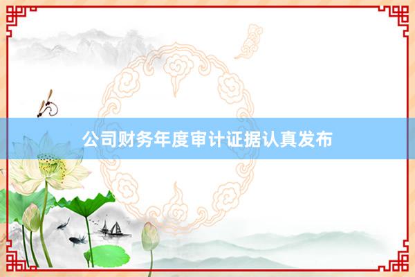 公司财务年度审计证据认真发布